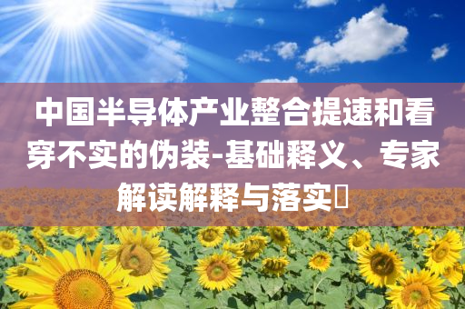 中國半導體產業整合提速和看穿不實的偽裝-基礎釋義、專家解讀解釋與落實?