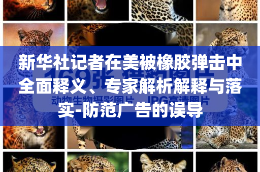 新華社記者在美被橡膠彈擊中全面釋義、專家解析解釋與落實-防范廣告的誤導(dǎo)