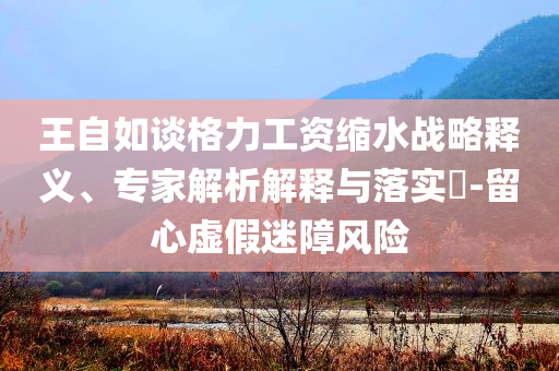 王自如談格力工資縮水戰略釋義、專家解析解釋與落實?-留心虛假迷障風險