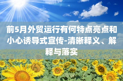 前5月外貿運行有何特點亮點和小心誘導式宣傳-清晰釋義、解釋與落實