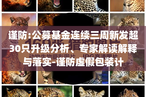 謹防:公募基金連續三周新發超30只升級分析、專家解讀解釋與落實-謹防虛假包裝計