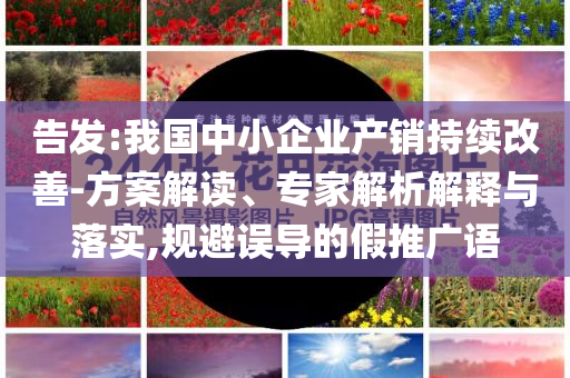 告發:我國中小企業產銷持續改善-方案解讀、專家解析解釋與落實,規避誤導的假推廣語