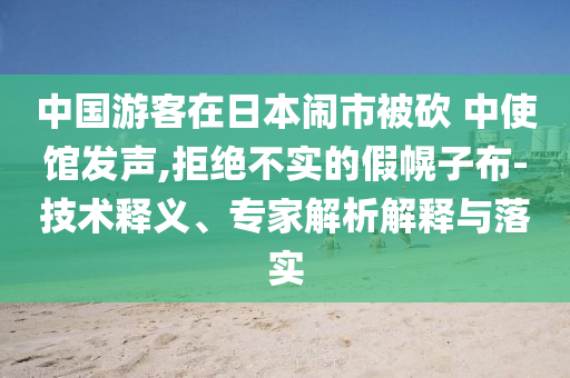 中國游客在日本鬧市被砍 中使館發聲,拒絕不實的假幌子布-技術釋義、專家解析解釋與落實