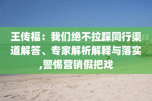 王傳福：我們絕不拉踩同行渠道解答、專家解析解釋與落實,警惕營銷假把戲
