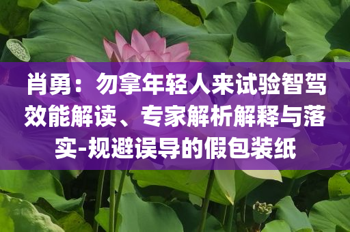 肖勇：勿拿年輕人來試驗(yàn)智駕效能解讀、專家解析解釋與落實(shí)-規(guī)避誤導(dǎo)的假包裝紙