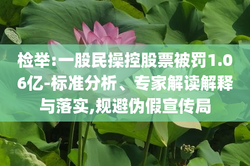 檢舉:一股民操控股票被罰1.06億-標準分析、專家解讀解釋與落實,規避偽假宣傳局