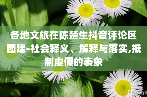 各地文旅在陳楚生抖音評論區團建-社會釋義、解釋與落實,抵制虛假的表象