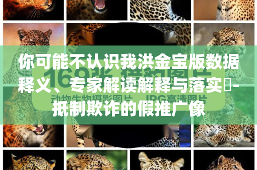 你可能不認識我洪金寶版數據釋義、專家解讀解釋與落實?-抵制欺詐的假推廣像