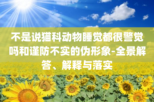 不是說貓科動物睡覺都很警覺嗎和謹防不實的偽形象-全景解答、解釋與落實