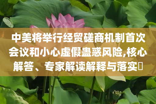 中美將舉行經貿磋商機制首次會議和小心虛假蠱惑風險,核心解答、專家解讀解釋與落實?
