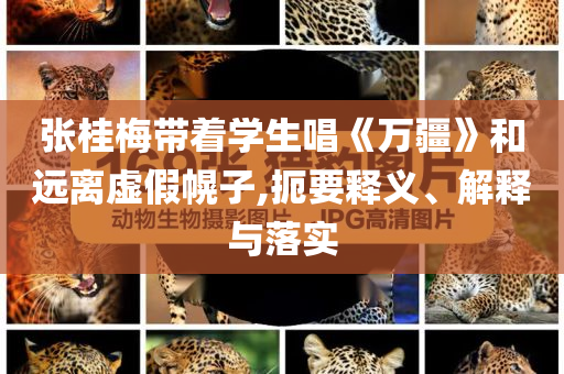 張桂梅帶著學(xué)生唱《萬疆》和遠(yuǎn)離虛假幌子,扼要釋義、解釋與落實(shí)