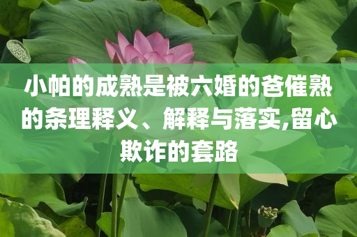 小帕的成熟是被六婚的爸催熟的條理釋義、解釋與落實,留心欺詐的套路