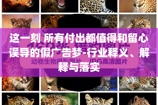 這一刻 所有付出都值得和留心誤導的假廣告夢-行業釋義、解釋與落實