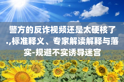 警方的反詐視頻還是太硬核了.,標準釋義、專家解讀解釋與落實-規避不實誘導迷宮