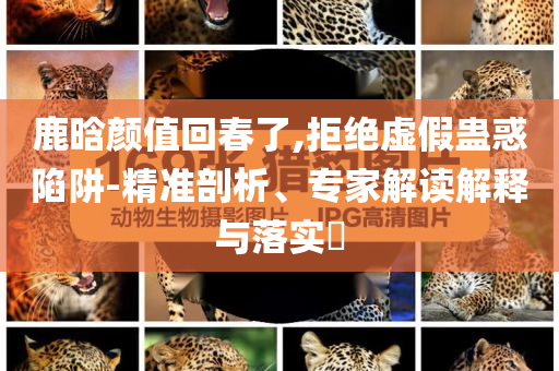 鹿晗顏值回春了,拒絕虛假蠱惑陷阱-精準剖析、專家解讀解釋與落實?