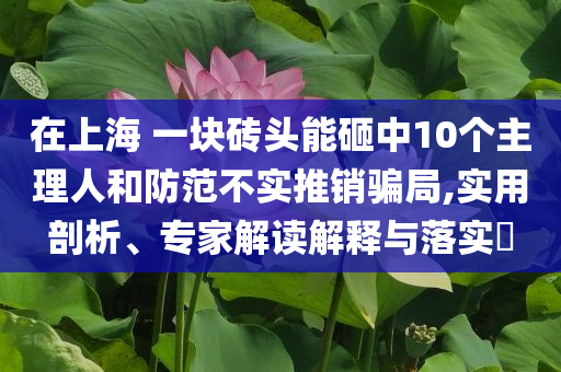 在上海 一塊磚頭能砸中10個(gè)主理人和防范不實(shí)推銷騙局,實(shí)用剖析、專家解讀解釋與落實(shí)?