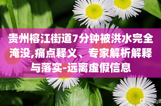 貴州榕江街道7分鐘被洪水完全淹沒,痛點釋義、專家解析解釋與落實-遠離虛假信息