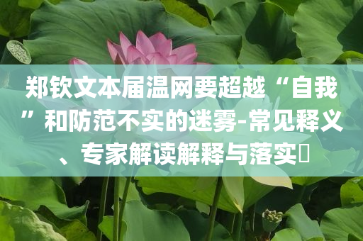 鄭欽文本屆溫網(wǎng)要超越“自我”和防范不實的迷霧-常見釋義、專家解讀解釋與落實?