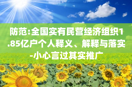 防范:全國實有民營經(jīng)濟(jì)組織1.85億戶個人釋義、解釋與落實-小心言過其實推廣