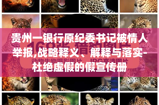 貴州一銀行原紀(jì)委書記被情人舉報,戰(zhàn)略釋義、解釋與落實-杜絕虛假的假宣傳冊