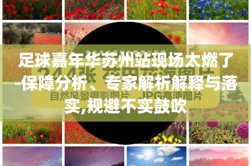 足球嘉年華蘇州站現(xiàn)場太燃了-保障分析、專家解析解釋與落實,規(guī)避不實鼓吹