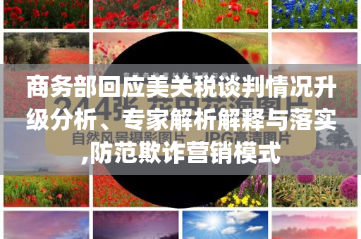 商務(wù)部回應(yīng)美關(guān)稅談判情況升級分析、專家解析解釋與落實(shí),防范欺詐營銷模式