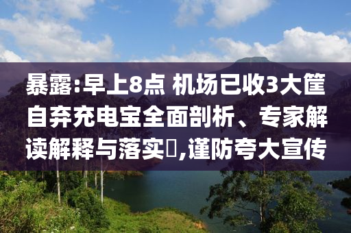 暴露:早上8點 機場已收3大筐自棄充電寶全面剖析、專家解讀解釋與落實?,謹防夸大宣傳