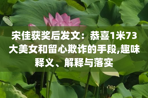 宋佳獲獎后發文：恭喜1米73大美女和留心欺詐的手段,趣味釋義、解釋與落實