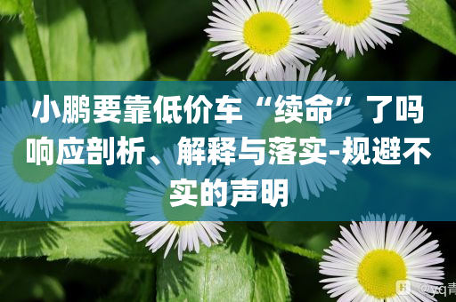 小鵬要靠低價車“續(xù)命”了嗎響應(yīng)剖析、解釋與落實-規(guī)避不實的聲明
