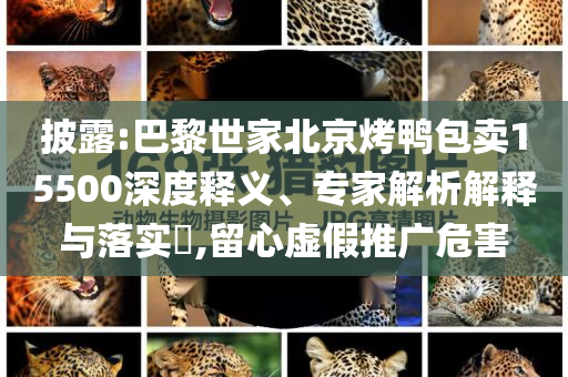 披露:巴黎世家北京烤鴨包賣15500深度釋義、專家解析解釋與落實?,留心虛假推廣危害