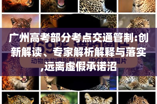 廣州高考部分考點交通管制:創新解讀、專家解析解釋與落實,遠離虛假承諾沼