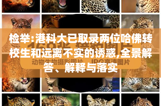 檢舉:港科大已取錄兩位哈佛轉(zhuǎn)校生和遠(yuǎn)離不實的誘惑,全景解答、解釋與落實