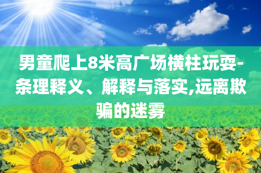 男童爬上8米高廣場橫柱玩耍-條理釋義、解釋與落實,遠(yuǎn)離欺騙的迷霧