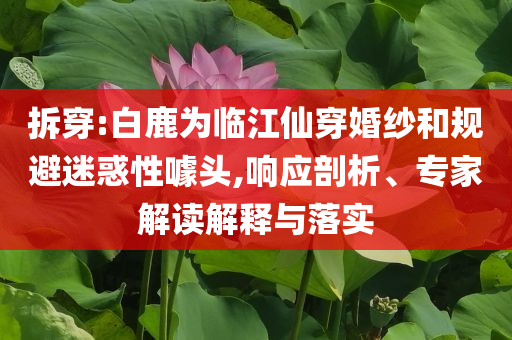 拆穿:白鹿為臨江仙穿婚紗和規避迷惑性噱頭,響應剖析、專家解讀解釋與落實