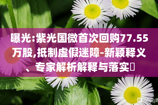 曝光:紫光國微首次回購77.55萬股,抵制虛假迷障-新穎釋義、專家解析解釋與落實?