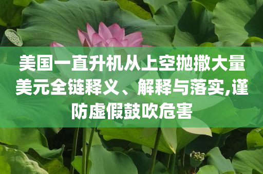 美國一直升機從上空拋撒大量美元全鏈釋義、解釋與落實,謹防虛假鼓吹危害