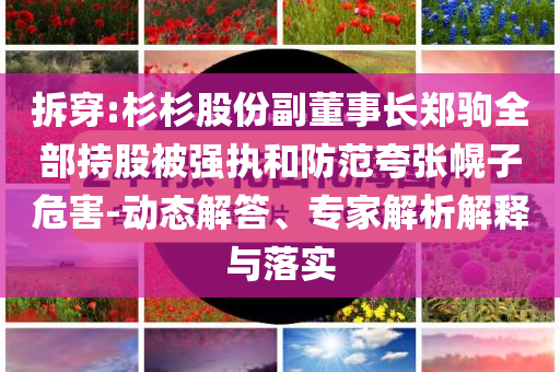 拆穿:杉杉股份副董事長鄭駒全部持股被強(qiáng)執(zhí)和防范夸張幌子危害-動態(tài)解答、專家解析解釋與落實(shí)