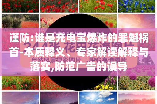 謹防:誰是充電寶爆炸的罪魁禍首-本質(zhì)釋義、專家解讀解釋與落實,防范廣告的誤導