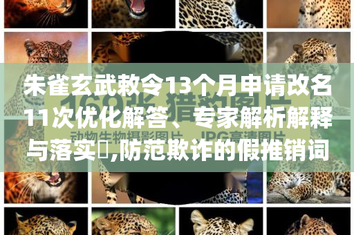 朱雀玄武敕令13個月申請改名11次優(yōu)化解答、專家解析解釋與落實?,防范欺詐的假推銷詞