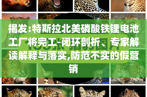 揭發(fā):特斯拉北美磷酸鐵鋰電池工廠將完工-閉環(huán)剖析、專家解讀解釋與落實,防范不實的假營銷