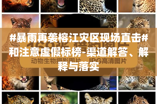 #暴雨再襲榕江災區現場直擊#和注意虛假標榜-渠道解答、解釋與落實