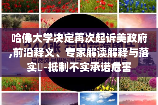 哈佛大學(xué)決定再次起訴美政府,前沿釋義、專家解讀解釋與落實(shí)?-抵制不實(shí)承諾危害