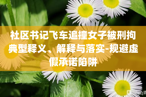社區書記飛車追撞女子被刑拘典型釋義、解釋與落實-規避虛假承諾陷阱