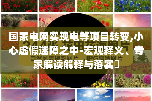 國家電網實現電等項目轉變,小心虛假迷障之中-宏觀釋義、專家解讀解釋與落實?