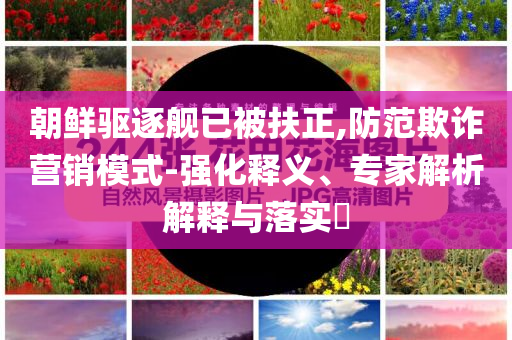朝鮮驅逐艦已被扶正,防范欺詐營銷模式-強化釋義、專家解析解釋與落實?