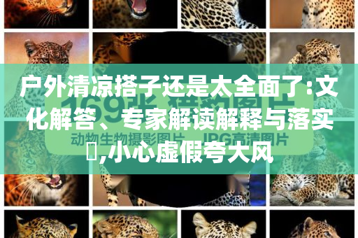 戶外清涼搭子還是太全面了:文化解答、專家解讀解釋與落實(shí)?,小心虛假夸大風(fēng)
