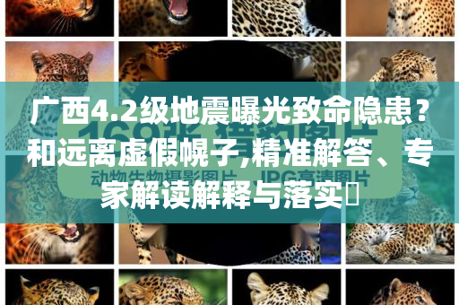 廣西4.2級地震曝光致命隱患？和遠離虛假幌子,精準解答、專家解讀解釋與落實?