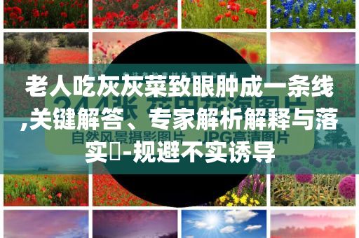 老人吃灰灰菜致眼腫成一條線,關鍵解答、專家解析解釋與落實?-規避不實誘導