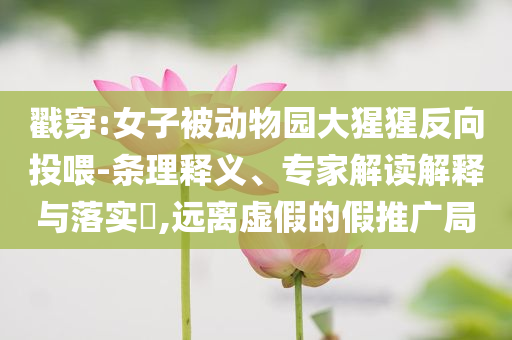 戳穿:女子被動物園大猩猩反向投喂-條理釋義、專家解讀解釋與落實?,遠離虛假的假推廣局