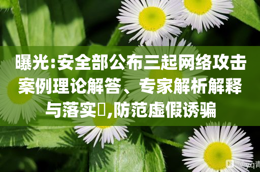 曝光:安全部公布三起網絡攻擊案例理論解答、專家解析解釋與落實?,防范虛假誘騙